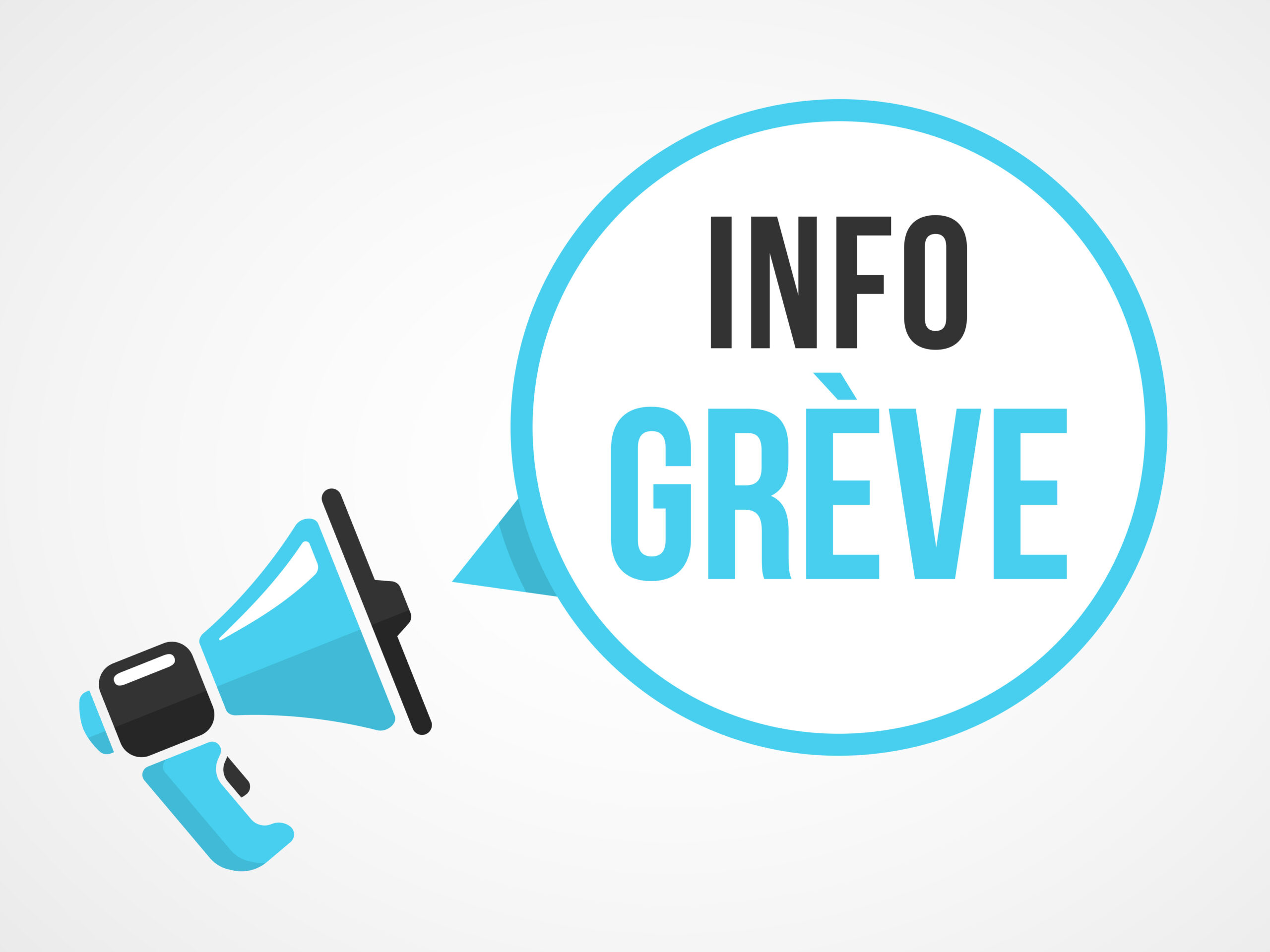 Ecole de l’Hirondelle- Préavis de grève Jeudi 05 décembre 2024